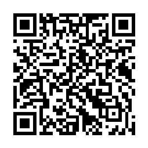 简单表达了一下对今年参展的诸多佳作的感慨和赞扬之后二维码生成