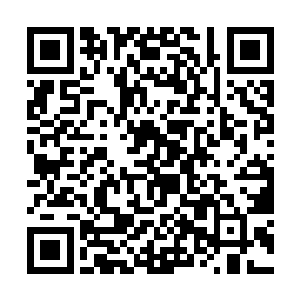 简直和骷髅架子差不多了不过神敬霄完全没打算反驳二维码生成