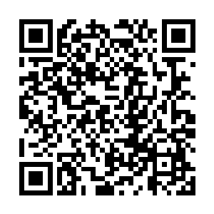 简直让人无法理解你怎么敢到蒙哥利亚荒原上来讨生活二维码生成