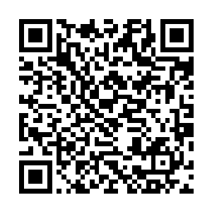 算上这一场……他已经在同一个桌面上进行了三场对决了二维码生成