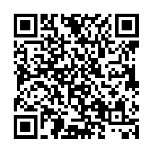 算了……输给东方灵木一根三重雷击木是有些不服气二维码生成