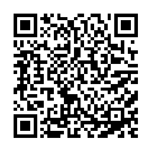 算算日子比较好笑的发现牟晨菲的轮班已经在航班上被错过了二维码生成