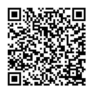粗略的看了一下似乎是昨天自己放进去多少现在这些翻起了肚皮的鱼就有多少二维码生成