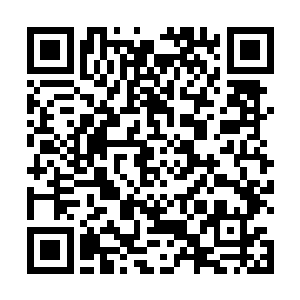 精准无比的几石头将这些上来赶人的侍卫砸得头破血流二维码生成