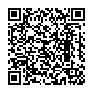 精灵王子和珂儿对于来渡假的第一个晚上的睡眠质量那是相当的满意二维码生成