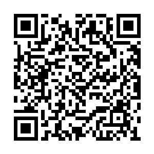 精神印记只是隆俊谦留在天罗棋盘内的一个印记二维码生成