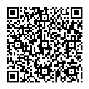 系统已经充分的收集了楚旬等人以及楚旬所遇到过的所有敌人和所有力量的情报数据二维码生成