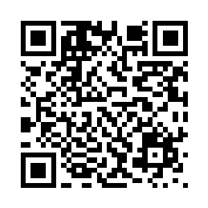 系统是不准备让我们到达樱果镇了二维码生成