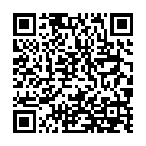 紧接着又是一棍子狠狠砸去……梓箐连忙伸手护住脑袋二维码生成