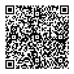 紧接着就是潘多拉星球的自然奇观了――说真的直升机在巨树群山中盘旋的镜头真是太美了――而这种热带雨林式二维码生成