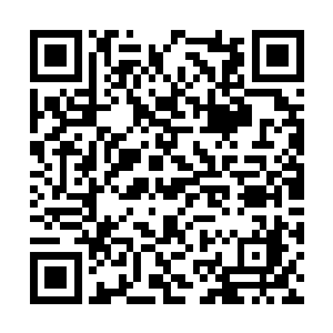 紧接着无数双赤红的光芒在罗楼和夜鹰的周围亮起二维码生成