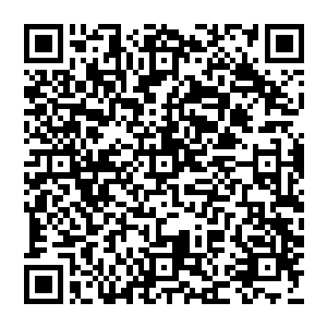 紧接着渡玄上人只感觉一股无比恐怖的澎湃的力量直接顺着手中的法宝朝着自己手臂上狂涌而来二维码生成