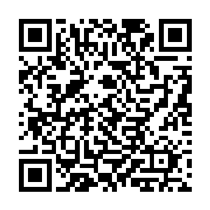 紧接着血将军便一刻不停的开始往血池里面抛掷尸体二维码生成