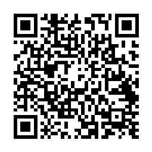 紧随而来的还有两位健仆抬上来了一桶冒着热气的洗澡水二维码生成