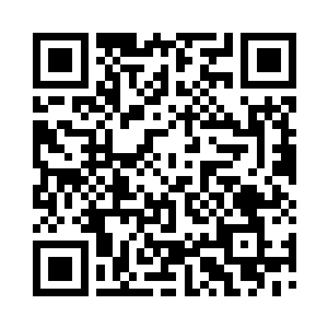 紫宵剑宗的宗主陈树之悬浮在主峰上方二维码生成