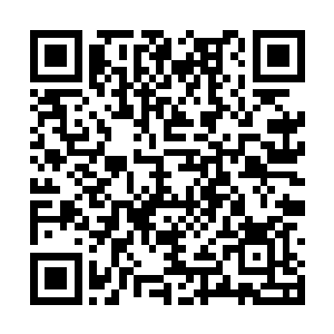 紫翼圣兽凶残嗜血的飞扑迎上双头银獠暴龙的攻击二维码生成