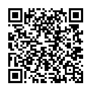 紫色的巨手狠狠的朝着土黄色的巨塔上面拍了下去二维码生成