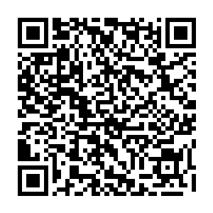 红衣男女一口气处决了上千名青壮男女才躬身对着血池白骨莲花座上的血妖行礼二维码生成