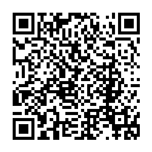 纣王杜预和苏妲己害死我的夫人妹妹此仇不共戴天我定要将他们碎尸万段二维码生成