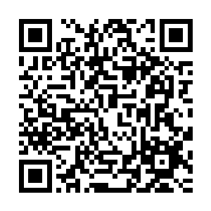 约书亚根本不关心这个种族歧视是捕风捉影还是怎么是怎么的二维码生成