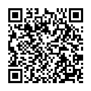 纳兰皇闻言不由伸手拍了拍纳兰皇后扶于扶手之上的柔荑二维码生成