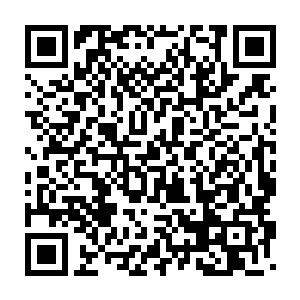 纳覆盖天地的雾气也在骤然之下化作了一张交织起来的巨大命数之网二维码生成