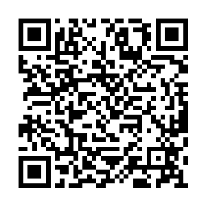 纵使任何理由也不能够让你们去支援我们的叛徒二维码生成