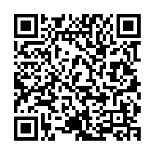 纵横傲龙帝国的数代的西门家彻底的消失在了历史的舞台之中二维码生成