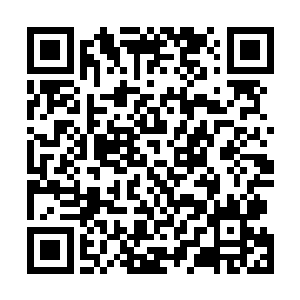 纵然在做出种种准备却无法施展防御剑技的情况下被击中二维码生成