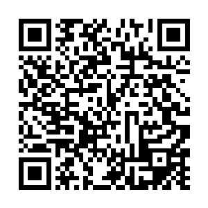 纷纷向留守在院里的新晋大丫头杏儿投去询问的目光二维码生成