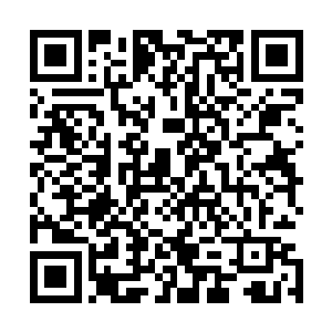 练就了盗骊一双黑眸如同无底深渊一般深不可测又黑不见底二维码生成