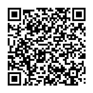组织上和领导们没有追究桐花镇派出所辖区发生系列重案的治安管理责任二维码生成