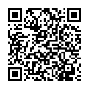 细致地研究原主残留在身体里的那一丝丝对阵法和符箓的天赋二维码生成