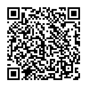 终于从女邻居的家里找到了比自己的削水果刀威力更大的武器－－一把西瓜刀二维码生成