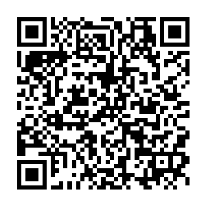 终于在那份协议中某个不起眼的地方找到了这么一行蚂蚁腿一样的小字二维码生成