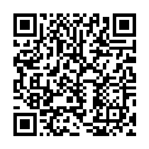 终于有机会仔细打量原本只被世子殿下几下雀斑的公子哥二维码生成