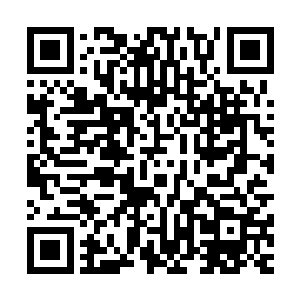 终于松了一口气的同时也惋惜青辰殿下没有瞧上他南陵的子民二维码生成