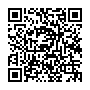 终于研制出了针对尸兄的战略武器……此次试验性作战二维码生成