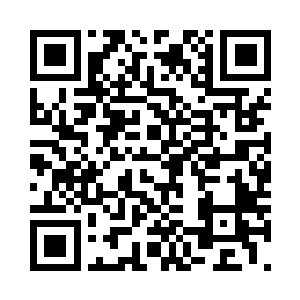 经过一年的猫生也都消磨得差不多了二维码生成