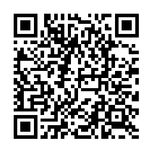 经过昨天晚上的事洛悠悠再也不敢让绿裳给她当丫环二维码生成