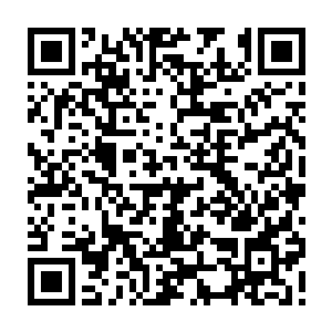 经过洛顿的魔法虽然说伤势还很重但是见到洛顿的惨状之后洛克再也忍不住二维码生成