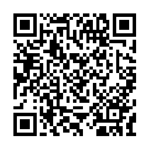 经过流墨墨身体的能量却没有带起她的一丝衣角二维码生成