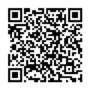 经过这半年多的修炼和点燃明点后对精神力提升的功效二维码生成