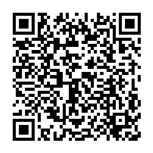 经过那么毒辣的打击都没有失去希望和继续行使它应有功能的权利二维码生成