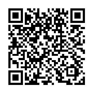 结合着阵一勾勒出来的路径在墨怀阵法中飞快地印证了一下二维码生成