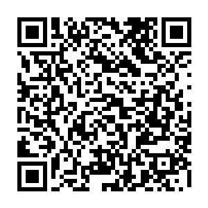 结果我们拿到了在巴西所有能拿的冠军连解放者杯都拿了谁是最大的功臣二维码生成