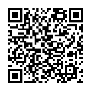 结果给自家的夫人和江寒等众多将领一把按到了坐位上二维码生成