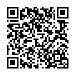 结果自然是异口同声的承认听见王本固和秦林对话二维码生成