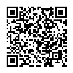 结果被特蕾莎几乎无敌的格斗技巧给虐了个底朝天二维码生成