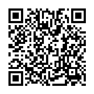 结果连爷爷这口味叼钻的大行家都这样夸奖冷轩二维码生成